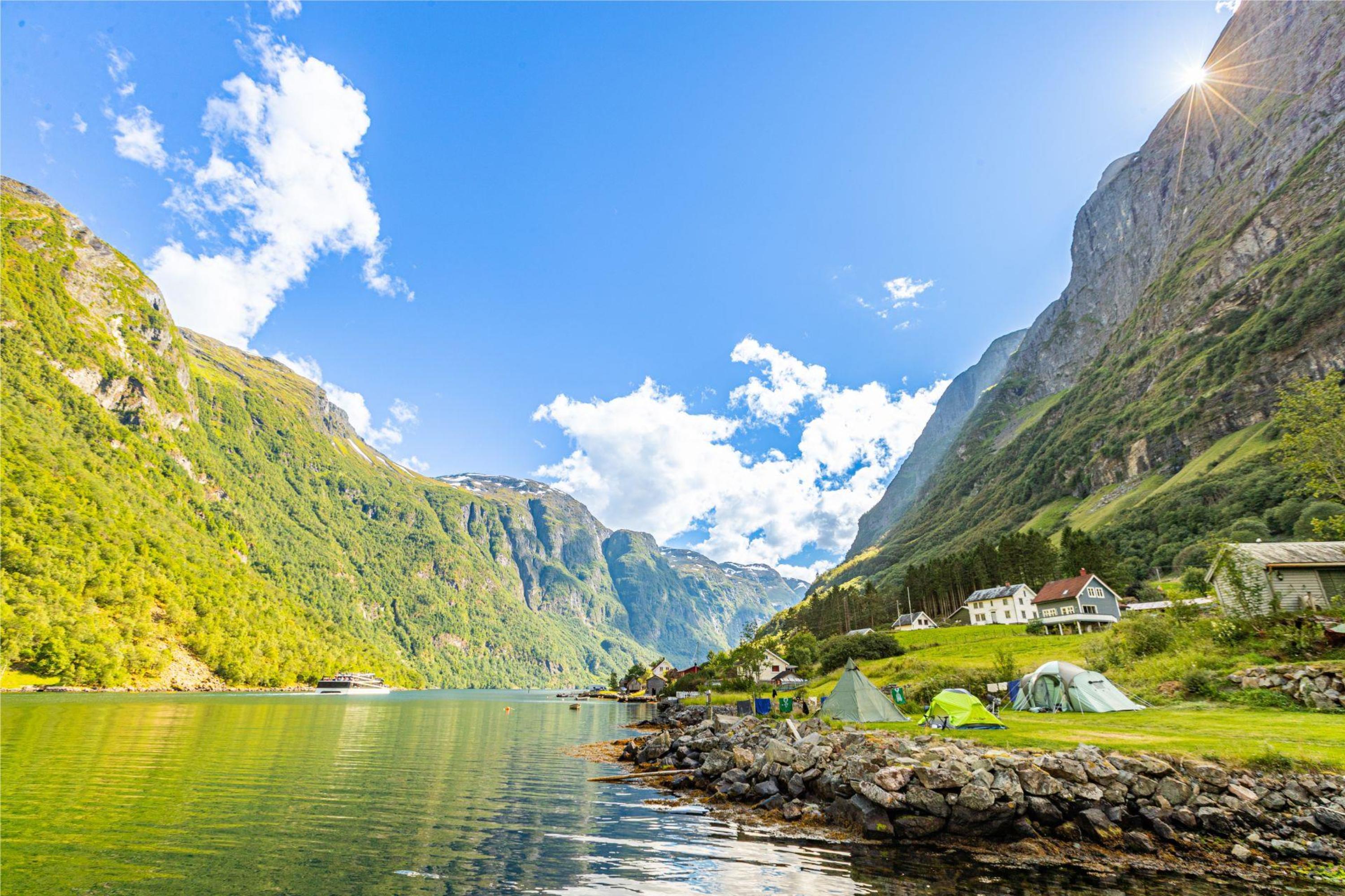 camping moskitonetz Tarp Fly Mückennetz – Bildschirmhaus Hängematte für ultimativen Schutz main image 1